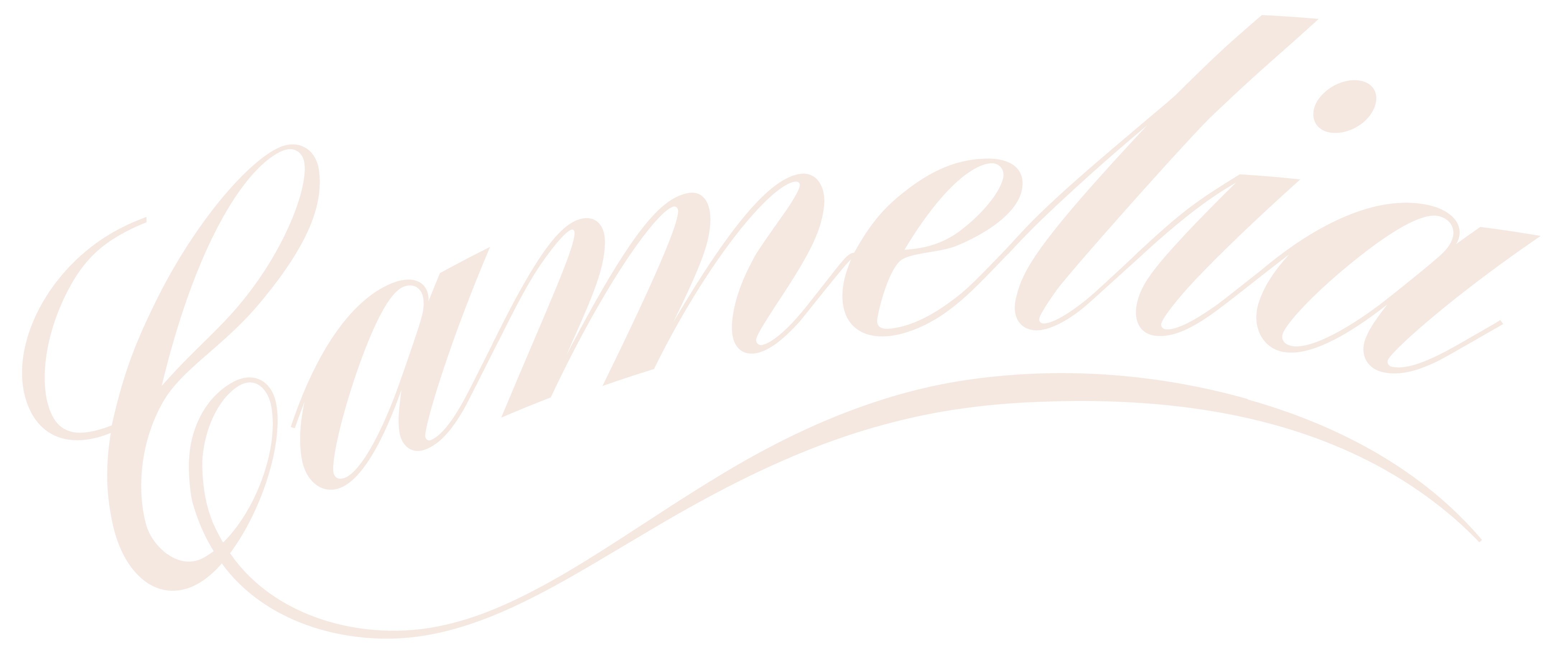 Camelia